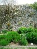 Lewes Priory herb garden